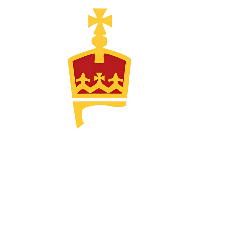 NZPRugby team