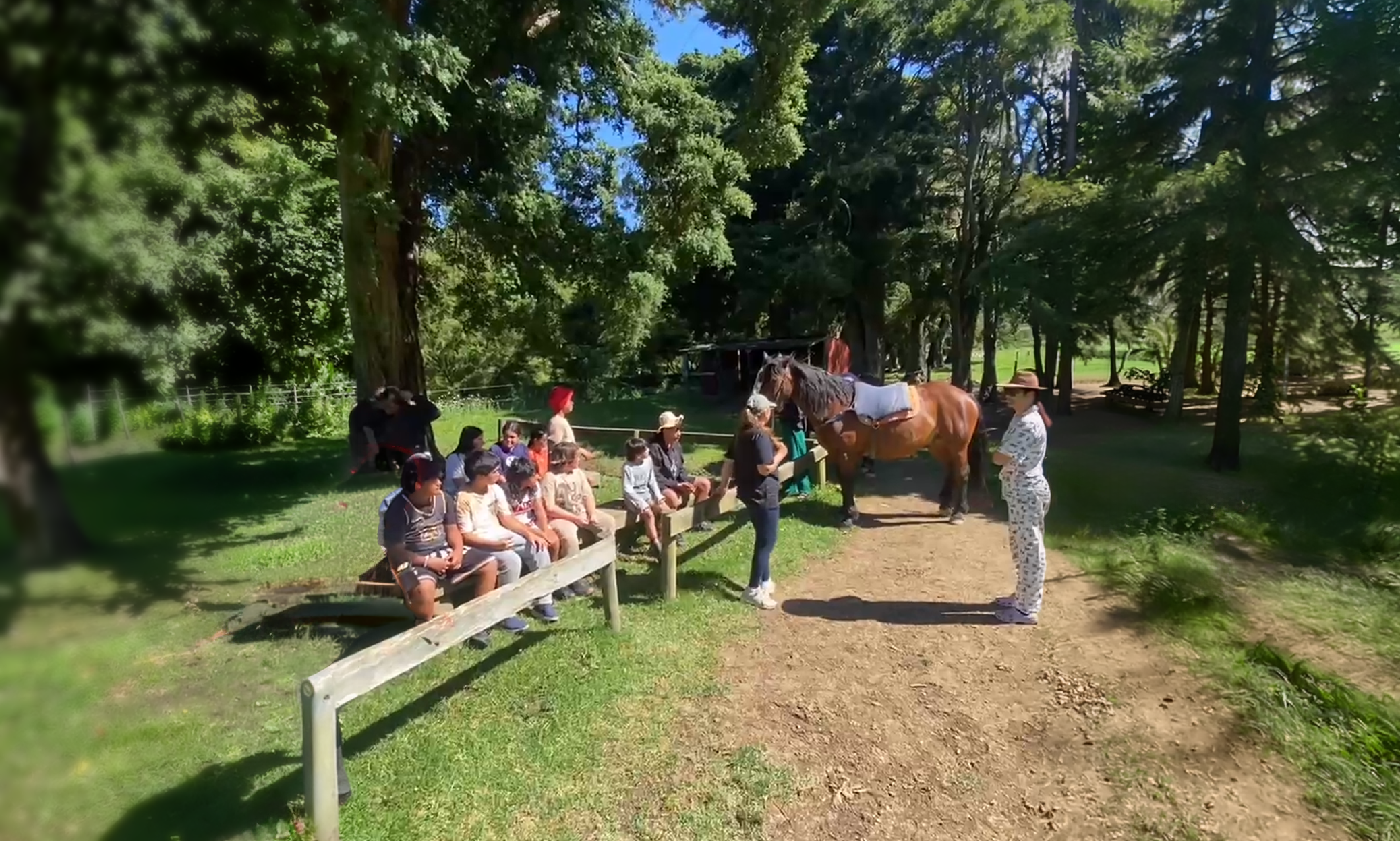 Whangaruru Banner for blog